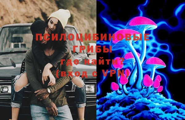 прущий лед Алексин