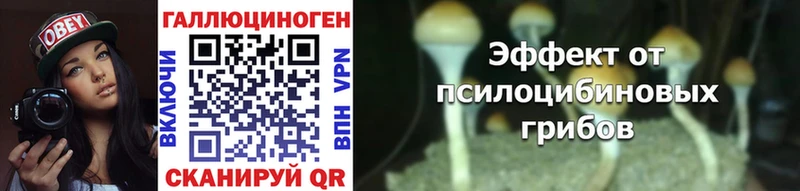 Псилоцибиновые грибы GOLDEN TEACHER Слюдянка